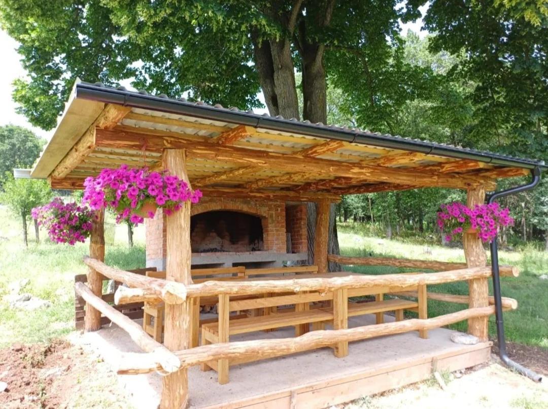 Farma & Apartmani II Opg Sasa Delic Grabusic Extérieur photo